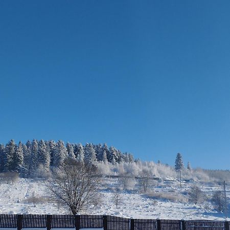 דירות Skhidnytsia Перлина Карпат מראה חיצוני תמונה